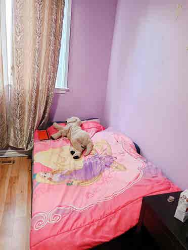 Room available for girls
