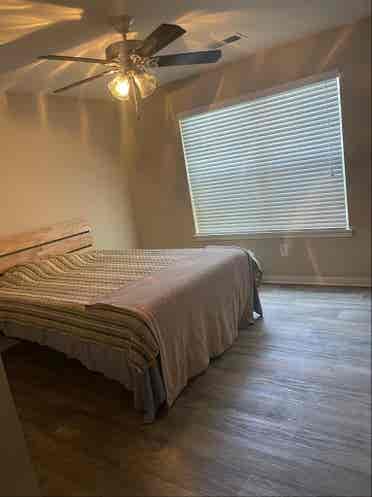 Room for rent!