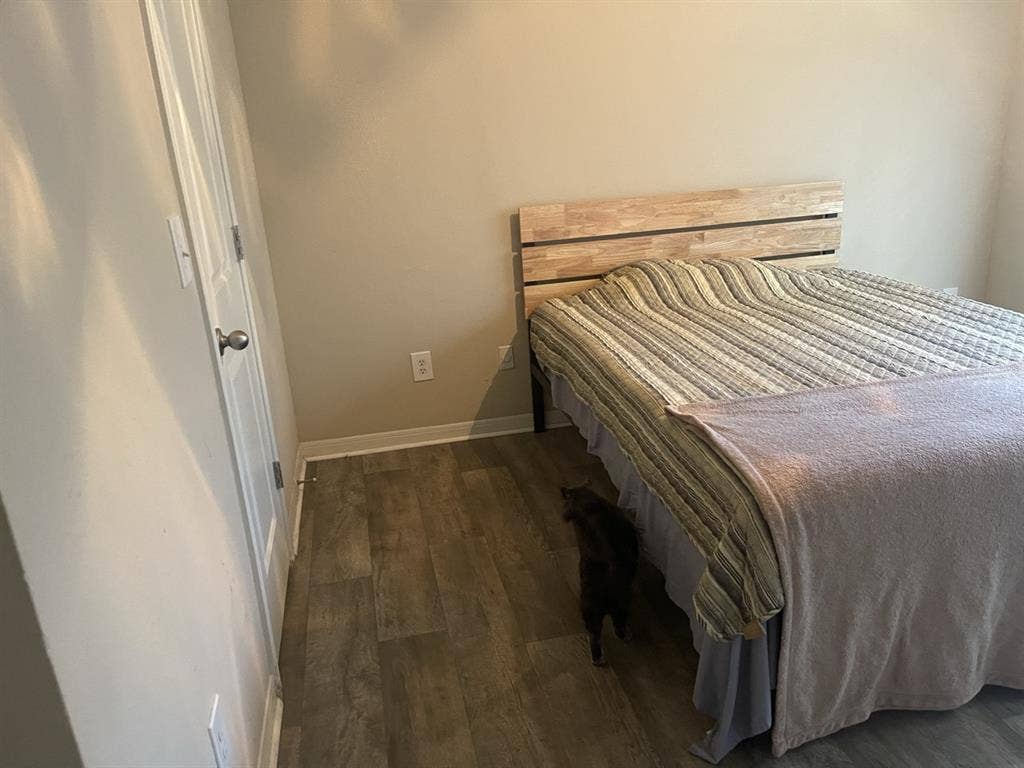 Room for rent!