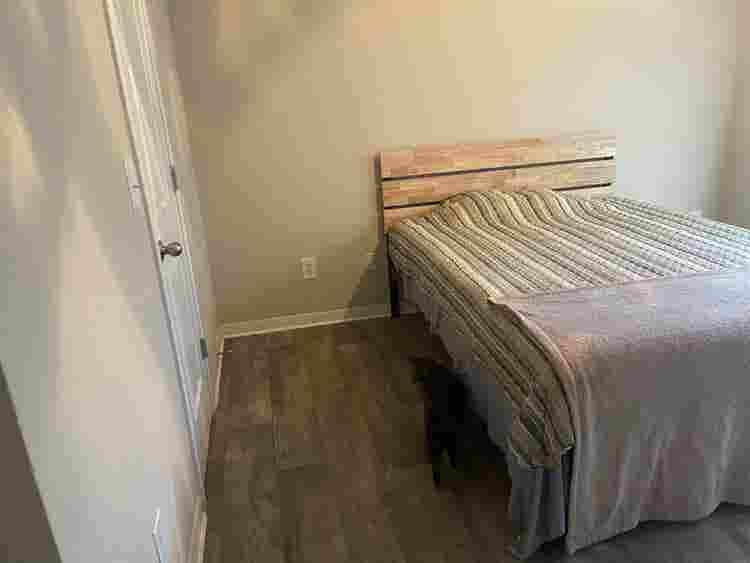 Room for rent!