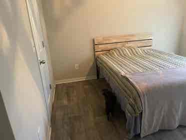 Room for rent!