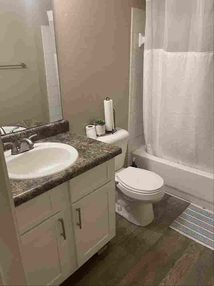 Room for rent!