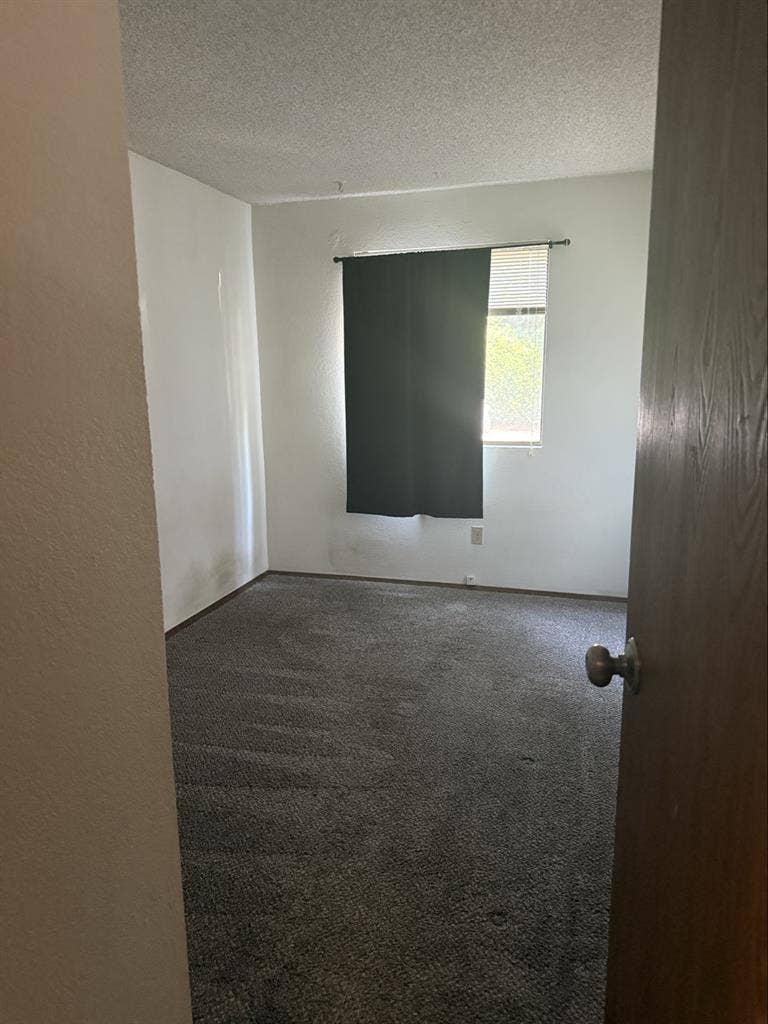 Private room for rent in Bellevue