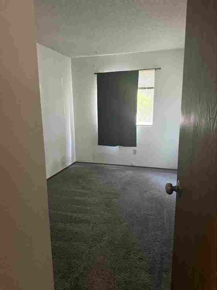 Private room for rent in Bellevue