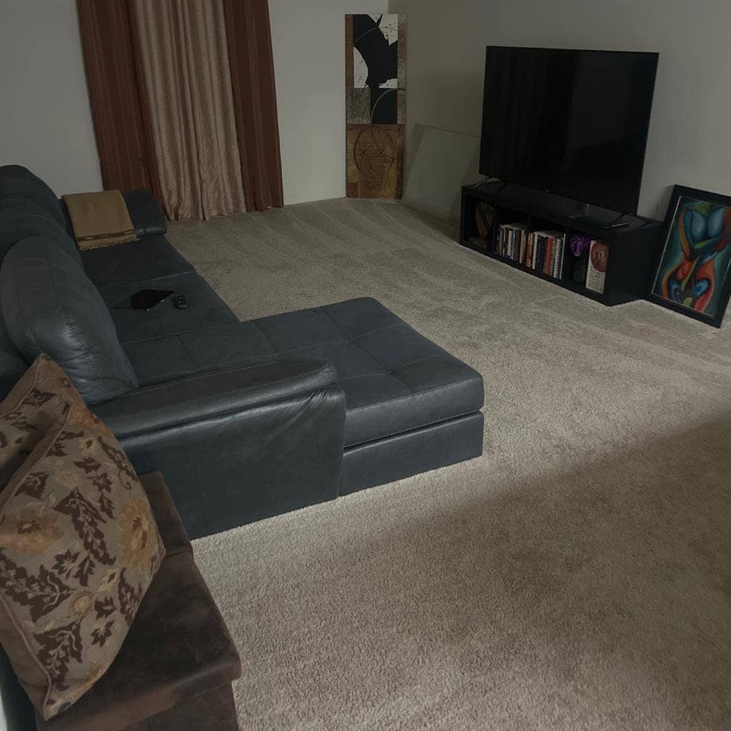 Whole apartment will be yours.