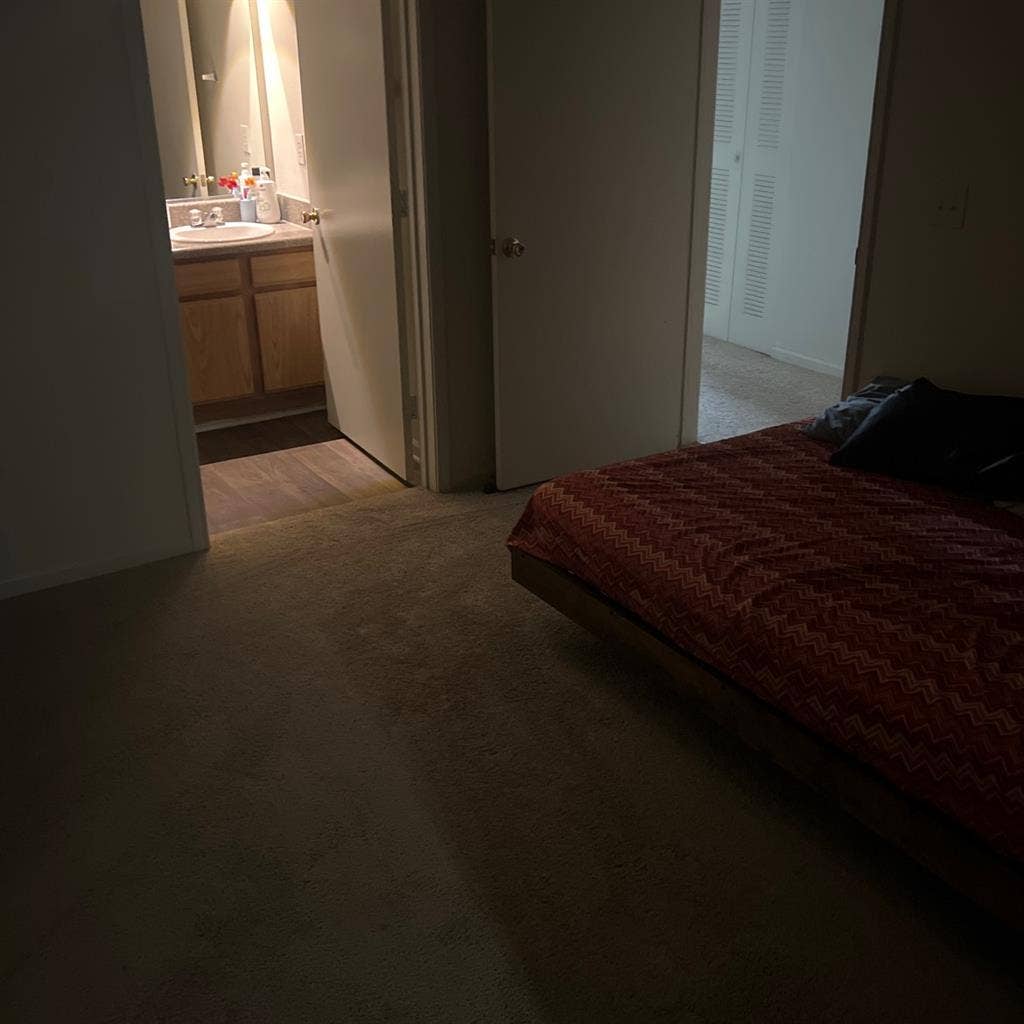 Whole apartment will be yours.