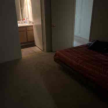 Whole apartment will be yours.
