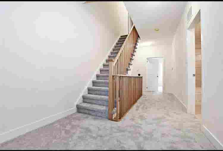 Room for rent with 2 roomies