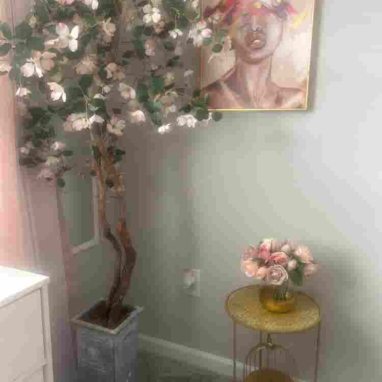 chic luxury suite with private bath