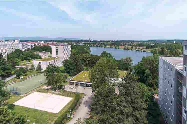 Zwischenmieter*in gesucht September