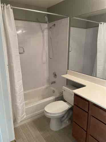 Spacious rooms available in house