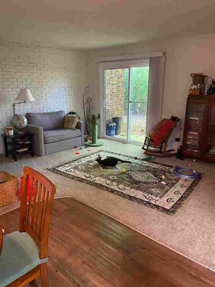New Listing