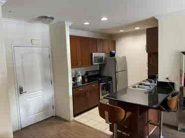 Room for rent in luxury apartment