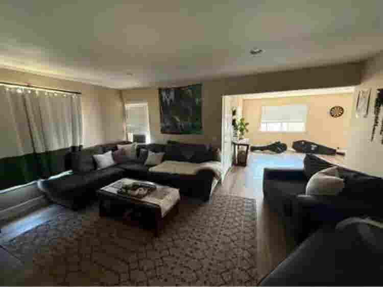 Need roommate for big 3 bed housee