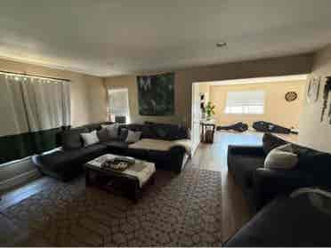 Need roommate for big 3 bed housee