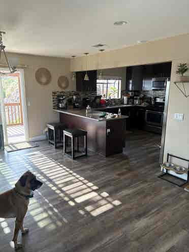 Need roommate for big 3 bed housee