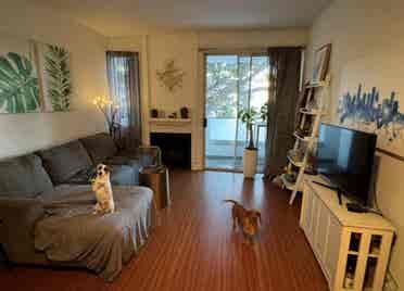 Master bedroom for rent HOLLYWOODD