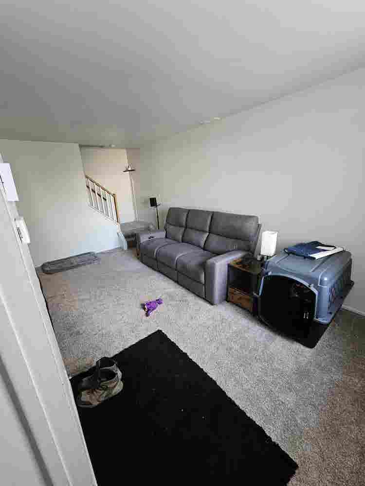 Roommate Wanted