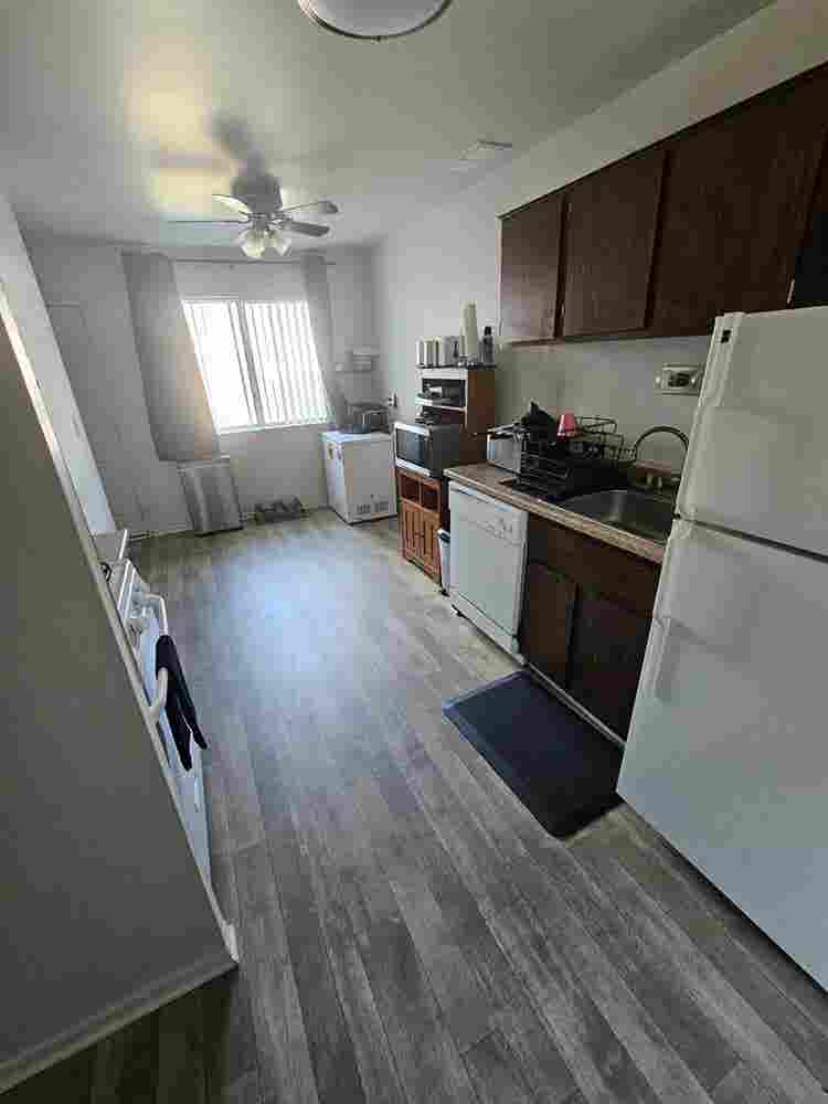 Roommate Wanted