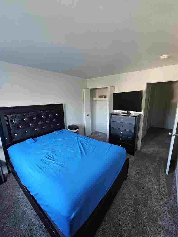 Roommate Wanted
