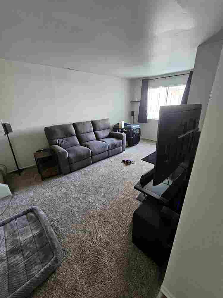 Roommate Wanted