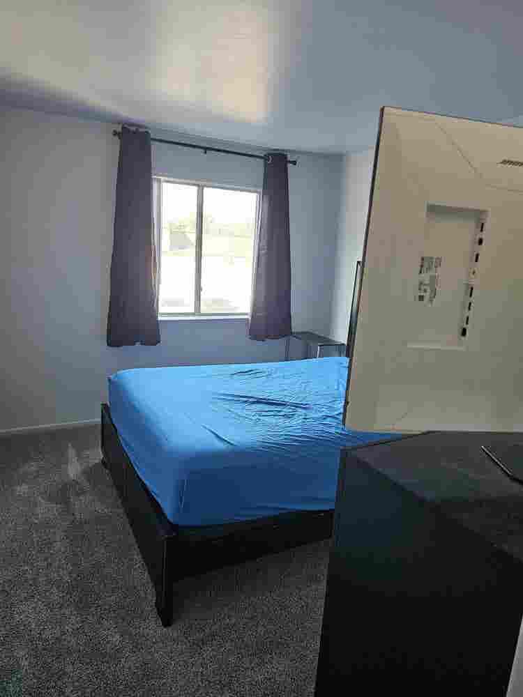 Roommate Wanted