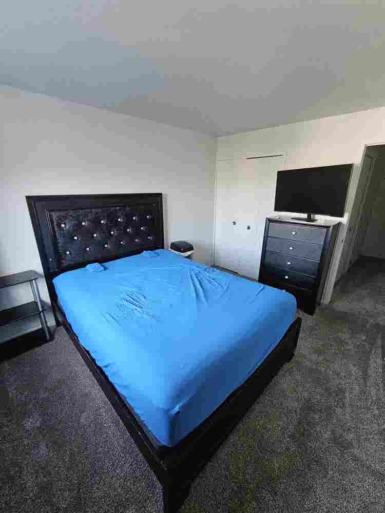 Roommate Wanted
