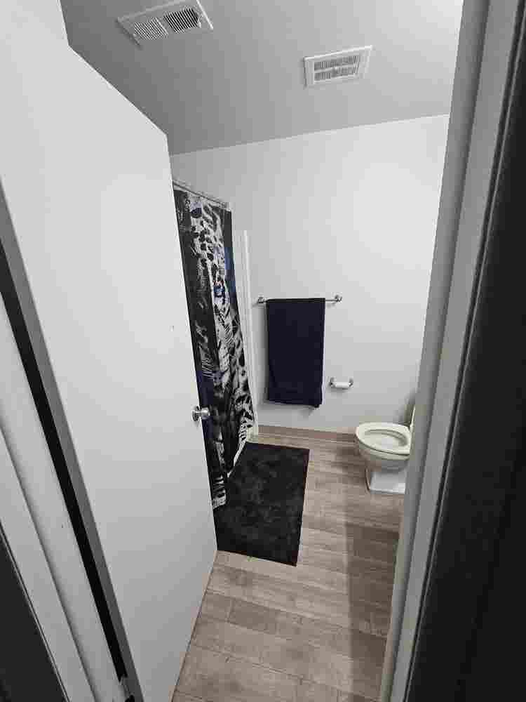 Roommate Wanted
