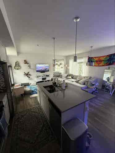 ROOMMATE WANTED