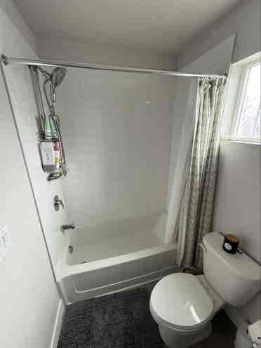ROOMMATE WANTED