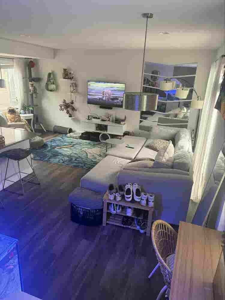 ROOMMATE WANTED