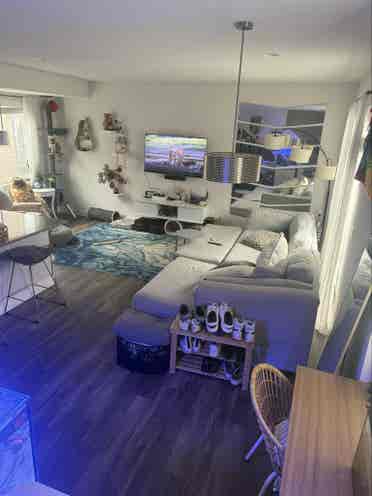 ROOMMATE WANTED