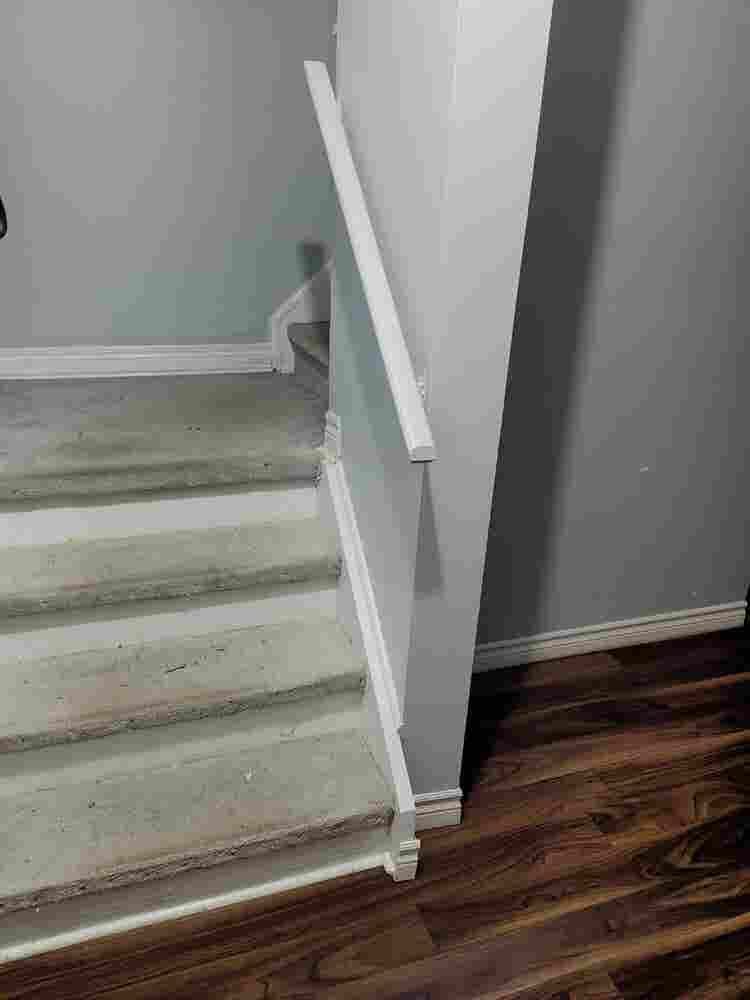 Spacious studio basement for Rent