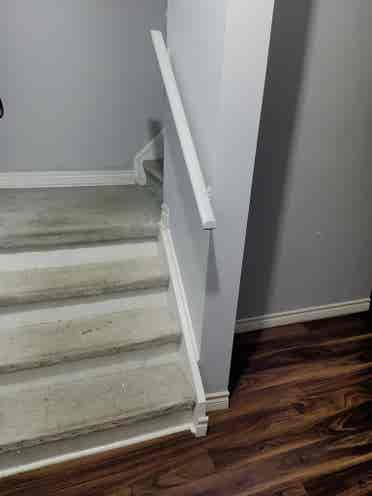 Spacious studio basement for Rent