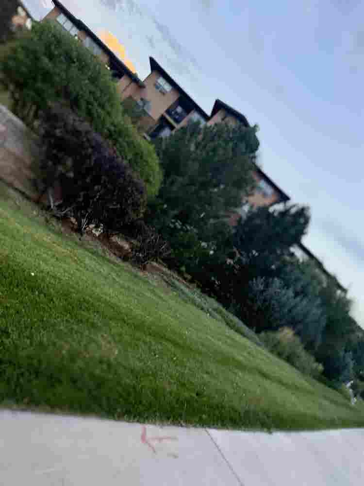 Looking For Roomie In Meridian