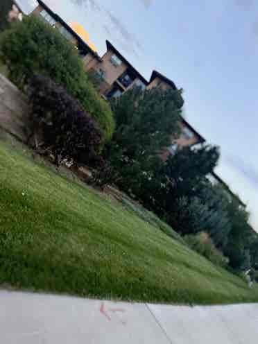 Looking For Roomie In Meridian