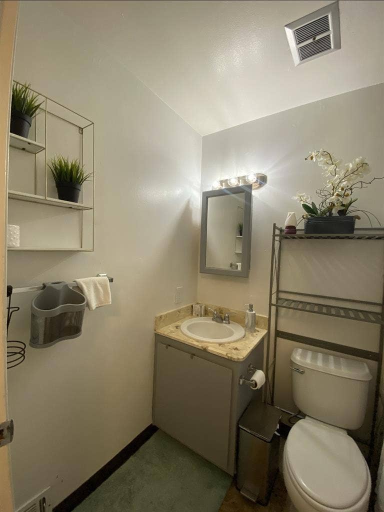 Spacious share +1 Room w/ Closet