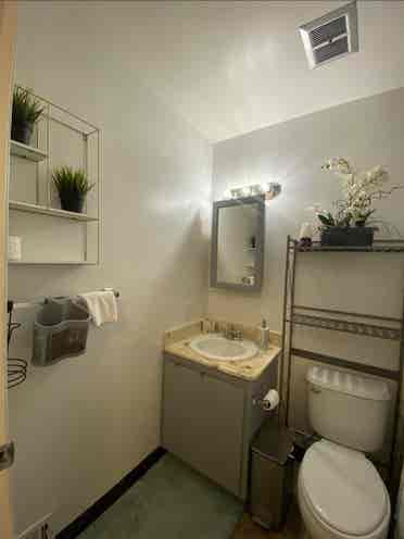 Spacious share +1 Room w/ Closet