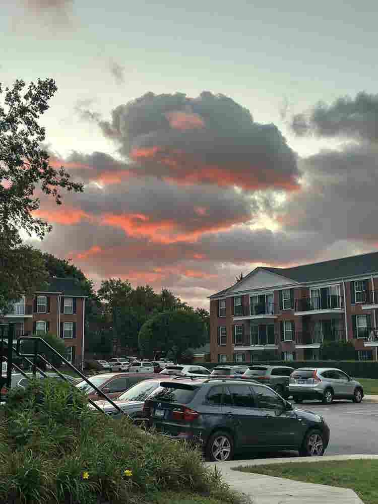 1 bed in Schaumburg - Golf rd