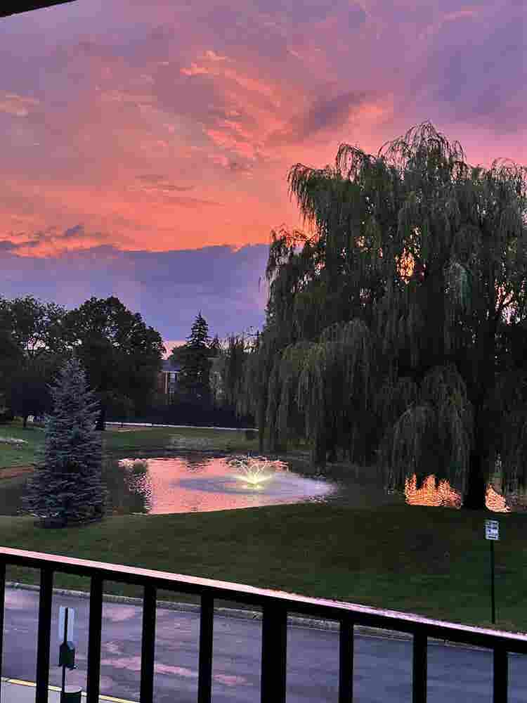 1 bed in Schaumburg - Golf rd