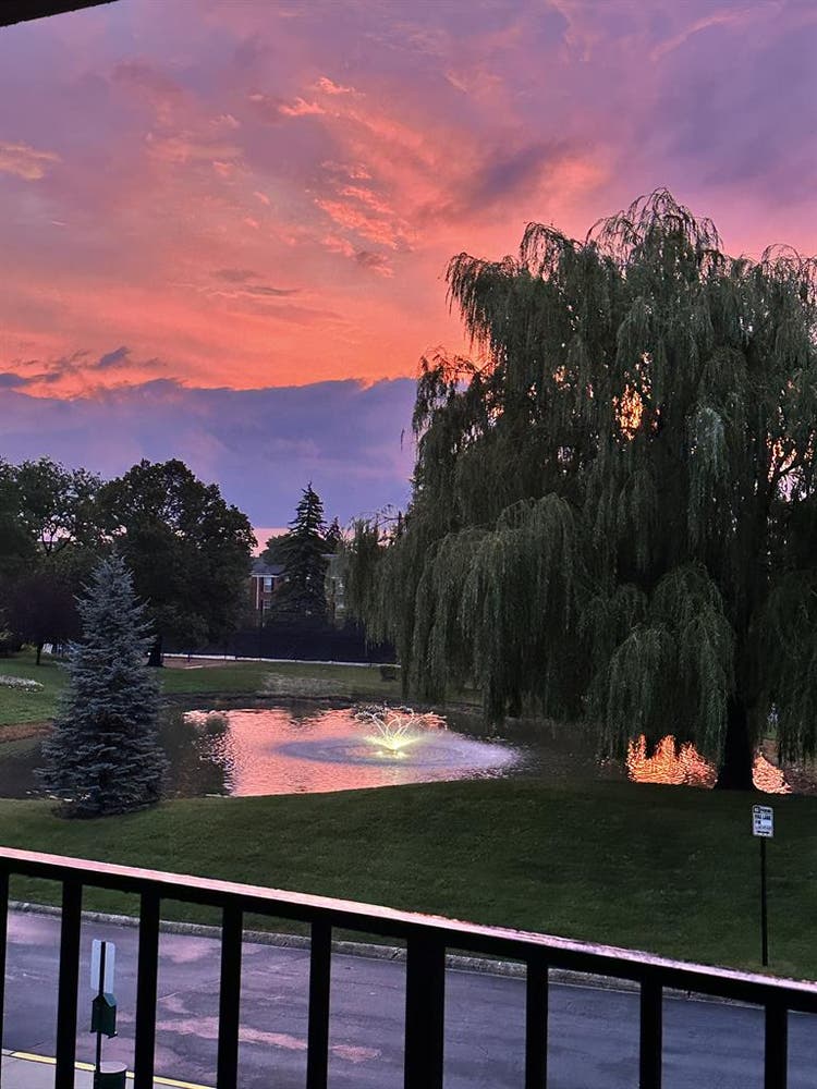 1 bed in Schaumburg - Golf rd