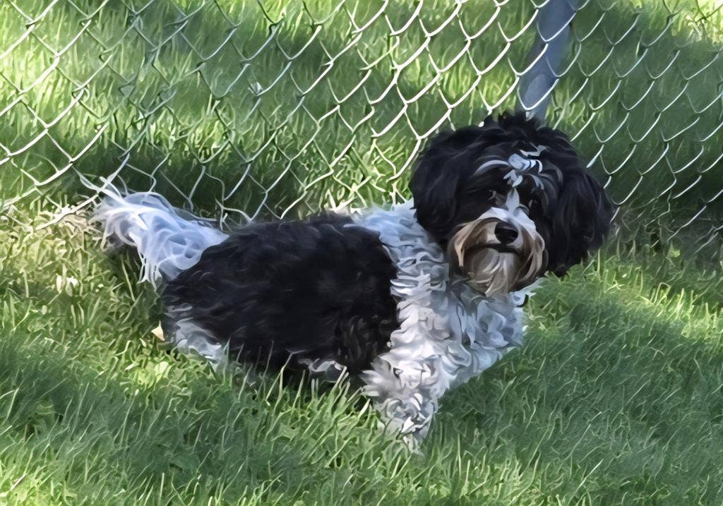 Furnished bedroom/private bathroom