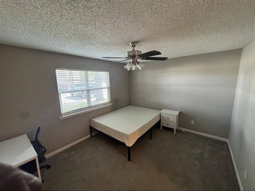 Looking for a Roommate