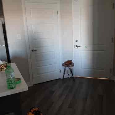 New  bed 1 bath condo!