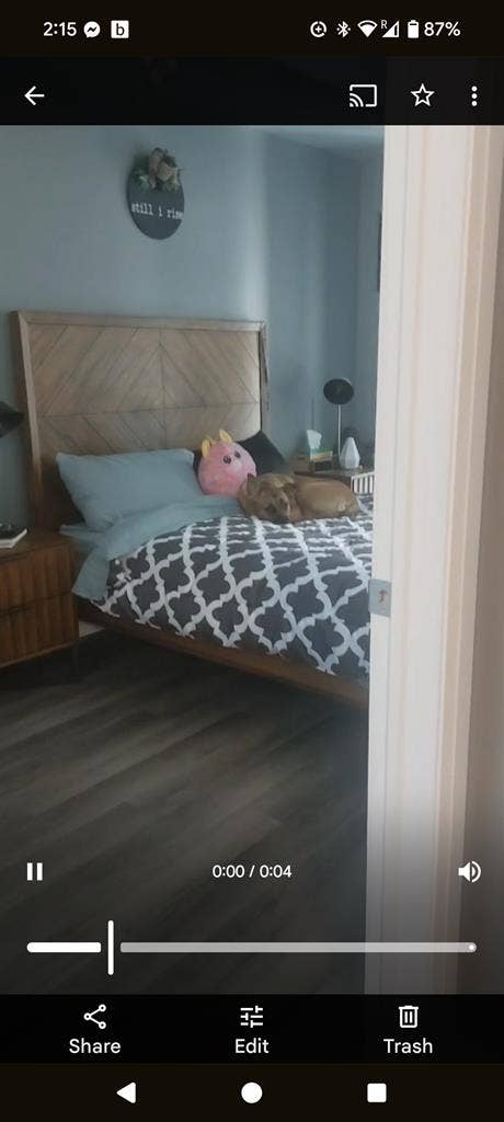 New bed 1 bath condo!