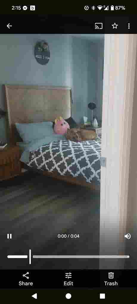 New  bed 1 bath condo!