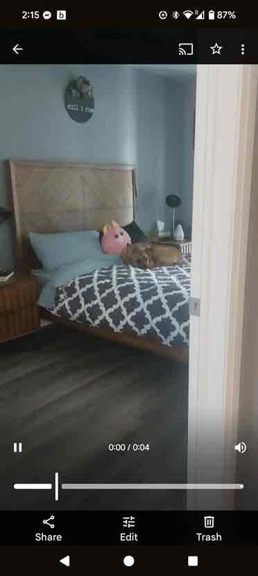 New  bed 1 bath condo!