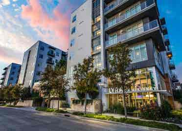 Lyra on McKinney
