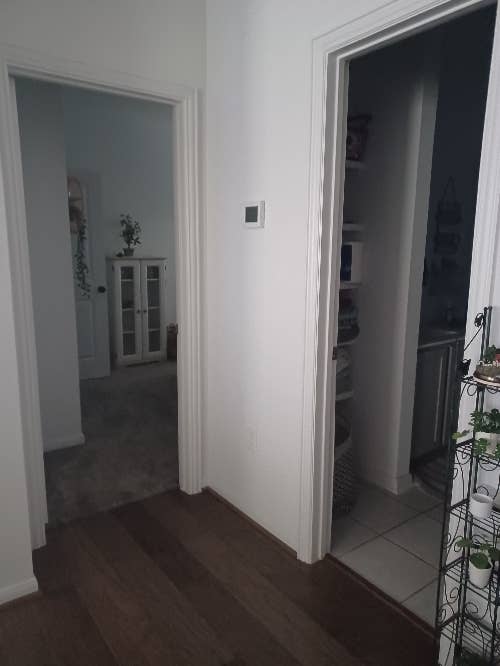 1 room for rent by Lake pflugervill