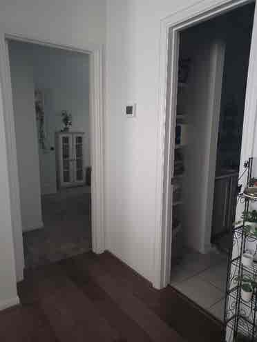 1 room for rent by Lake pflugervill